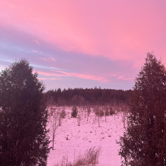 Meet your Posher, Daniela - Picture 1 of 1